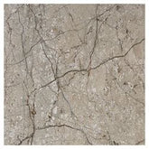 Trueliving_Somany Vivo Mushroom Textured 300 mm x 300 mm Ceramic Floor Tile_Price-52_Per Sq Ft.